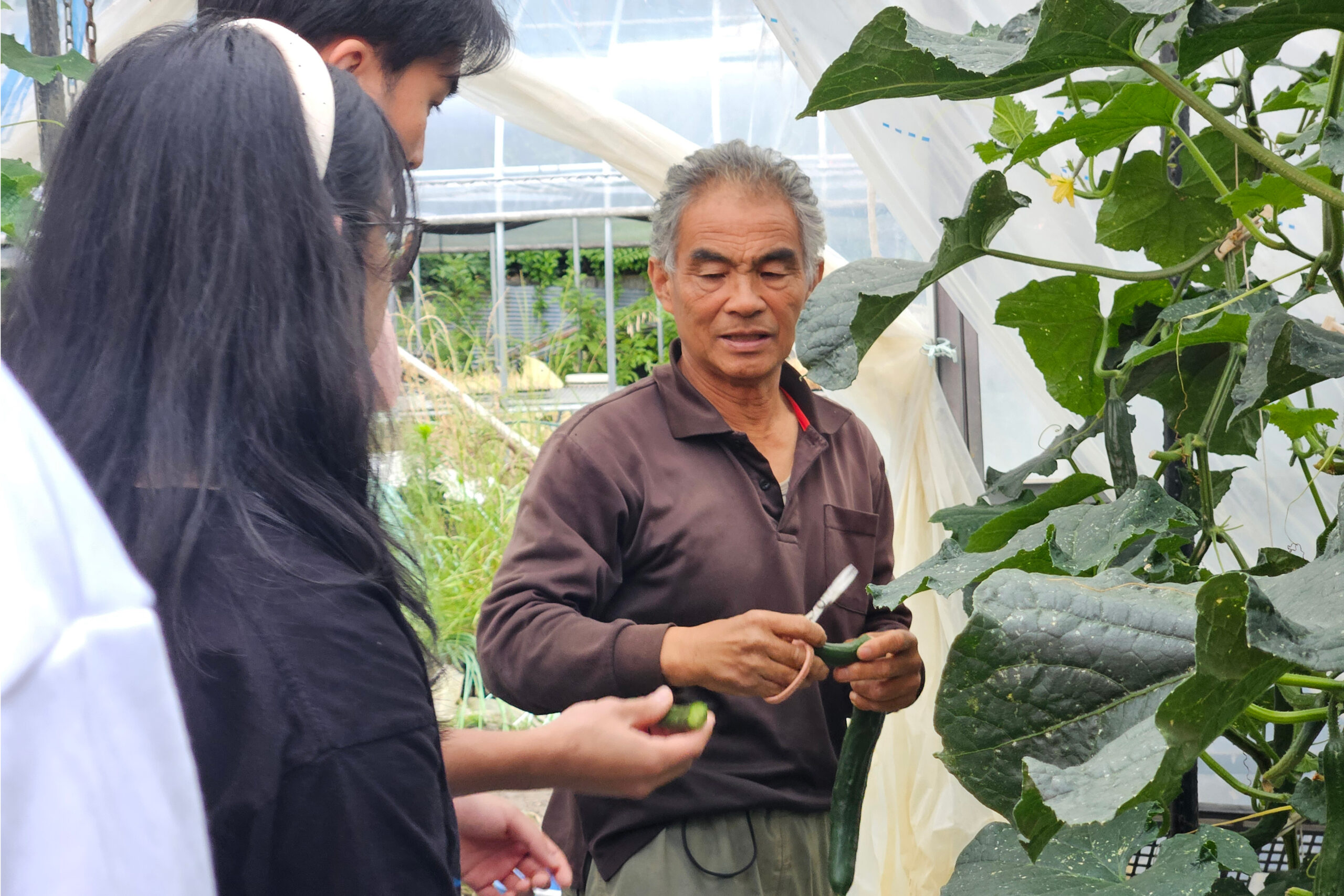 Higuchi-Farm